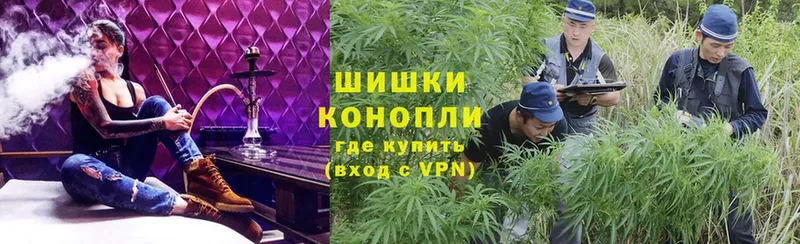 купить наркоту  Невельск  Марихуана White Widow 